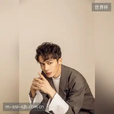 穆辰